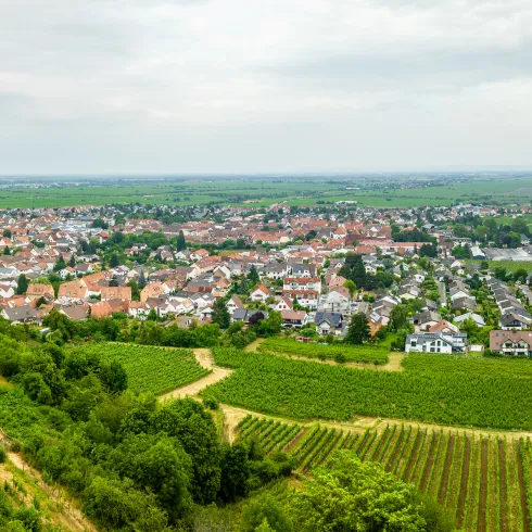 Die Wachtenburg thront in den Weinbergen vor Wachenheim an der Weinstraße.