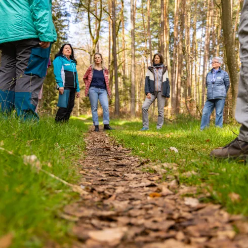 Eine Gruppe steht im Wald und ein Guide erklärt die Praxis des Waldbadens.