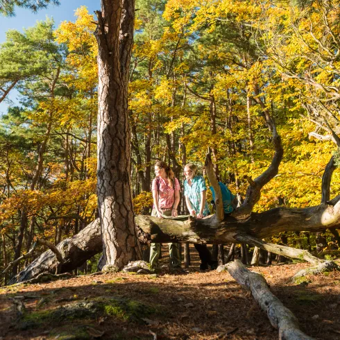 Zwei Personen wandern an einem Sommertag auf dem Leininger Burgenweg.