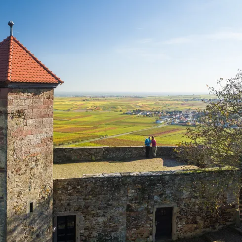 Zwei Personen wandern an einem Frühlingstag auf dem Leininger Burgenweg.
