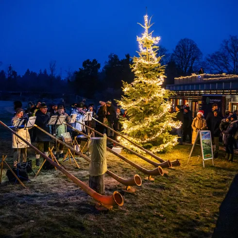 Alphornbläser auf dem Romantische Waldweihnacht Weihnachtsmarkt in Johanniskreuz