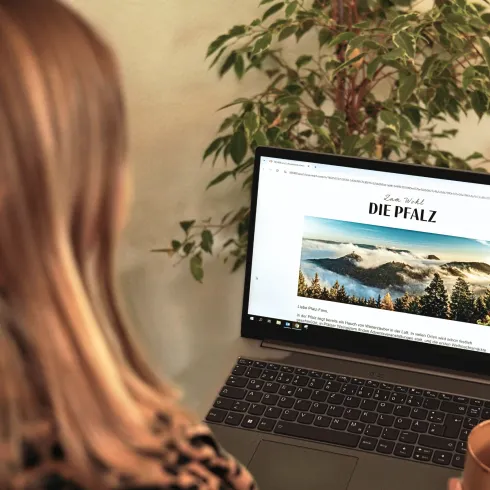 Newsletter Anmeldung Pfalz Touristik