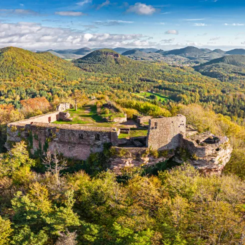 Die Burgruine Lindenbrunn an einem Herbsttag aus der Vogelperspektive.