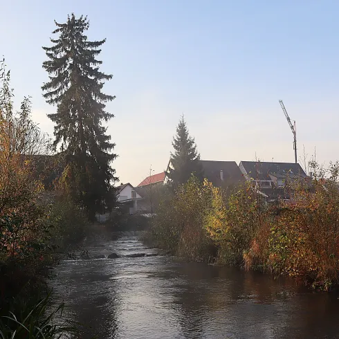 Ein Fluss in der Verbandsgemeinde Römerberg-Dudenhofen an einem Herbsttag.
