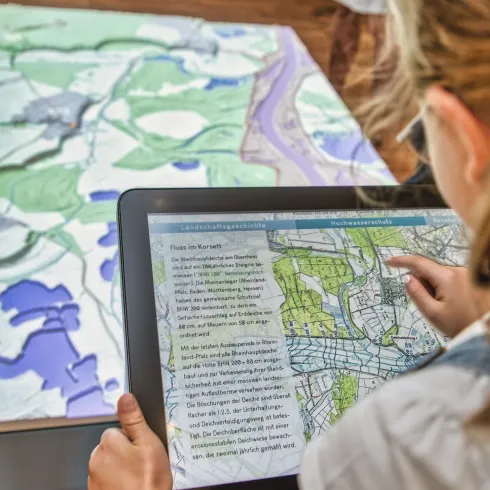 Ein Kind steht an einem Tablet und betrachtet die interaktive Ausstellung des Infozentrums Hördter Rheinauen.