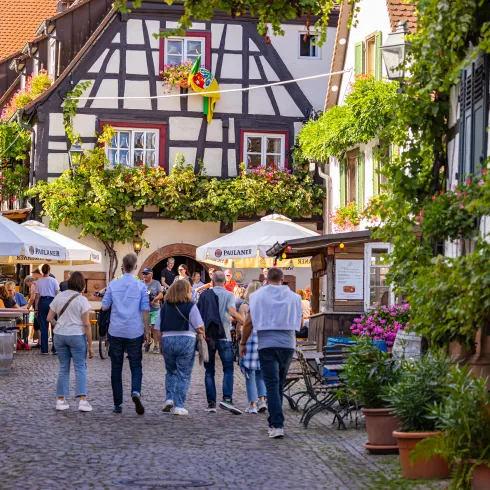 Besuchende auf der Winzergasse Gleiszellen.