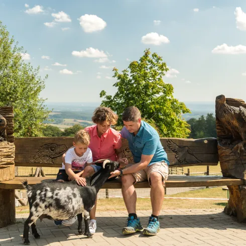 Eine Familie sitzt beim Wildpark Potzberg auf einer Bank und streicheln eine Ziege.