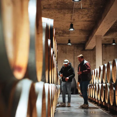 Pfälzer Weingüter und Genossenschaften