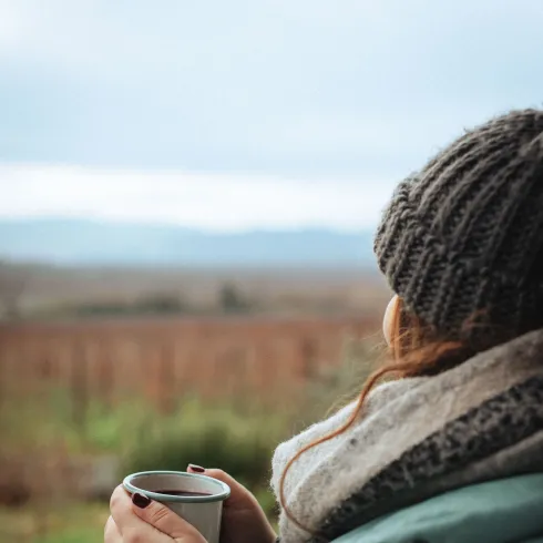 Blick in die Pfälzer Weinberge 