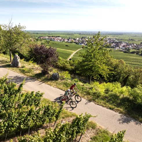 Zwei Personen machen eine Radtour entlang der Deutschen Weinstraße vorbei an Kallstadt.