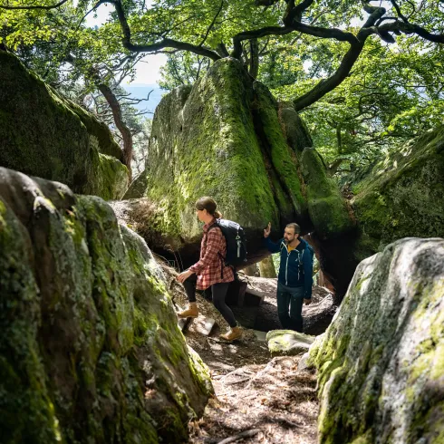 Zwei Personen wandern an Felsbrocken und Bäumen entlang.