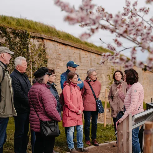 Eine Gruppe von Menschen bei einer Gästeführung. Im Vordergrund steht ein blühender Mandelblütenbaum.
