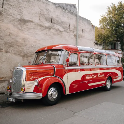 Frühlingstour "Rosa Ausblicke" Oldtimerbus Tour Weinstraße