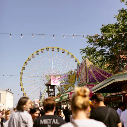 Weinfest in der Pfalz