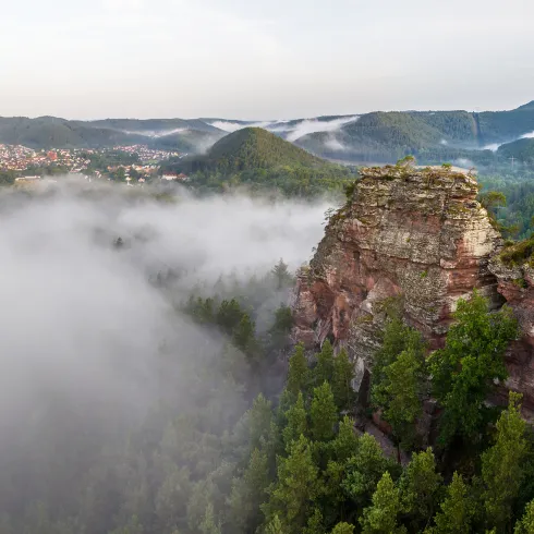  Buntsandsteinfelsen im Morgendunst bei Hauenstein
