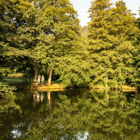Zwei Personen stehen am Ufer des Helmachweihers. Das Licht der untergehenden Sonne lässt den Wald und den Weier in einem gold-grün erstrahlen.