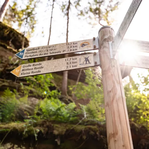 Wegweiser am Trifterlebnispfad und dem Pfälzer Hüttensteig