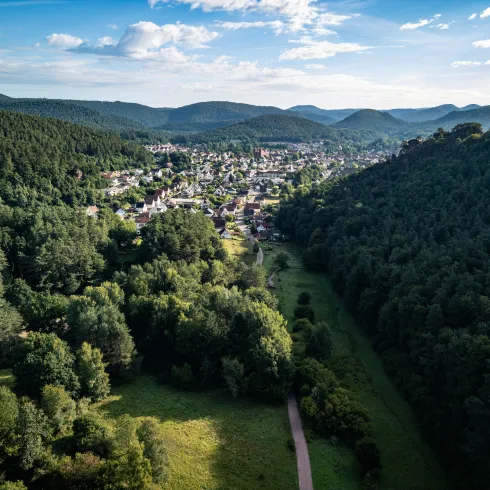 Ein in die grünen Hügel des Pfälzerwaldes gebettetes Dorf an einem Sommermorgen.