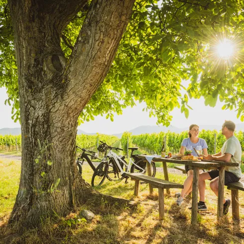 Pfälzer Picknick am Rastplatz im Weinberg