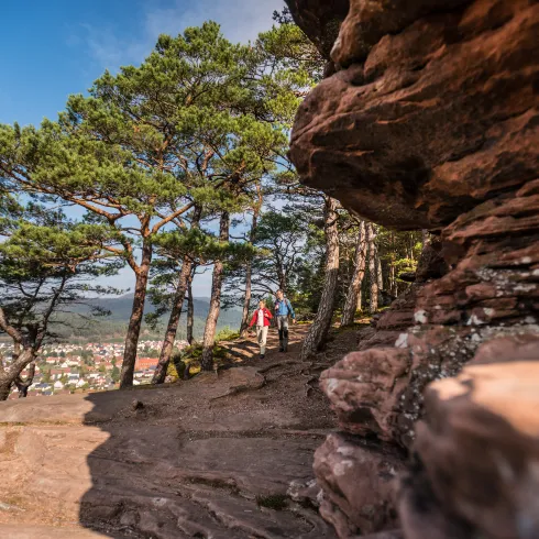 Zwei Personen  wandern auf dem Hauensteiner Schusterpfad an Sandsteinfelsen vorbei.