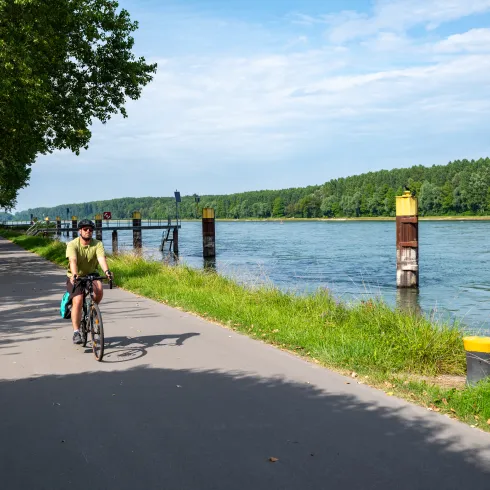  Ein Radfahrer fährt auf dem Rheinradweg EuroVelo 15 entlang des Rheinufers.