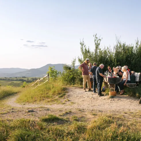 Südpfalz Weinwanderung
