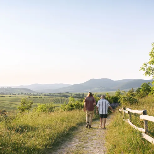 Weintourismus in der Pfalz