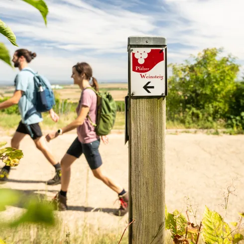 Zwei Personen wandern auf dem Pfälzer Weinsteig bei Bockenheim an der Weinstraße