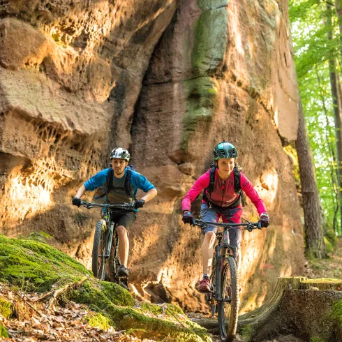 Eine Frau und ein Mann fahren mit ihren Mountainbikes im Pfälzerwald.