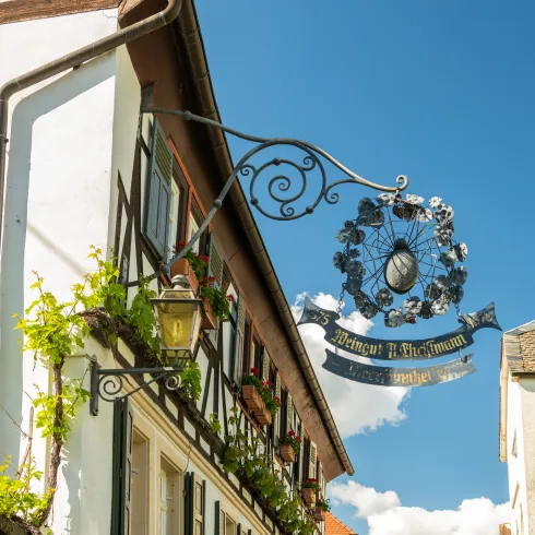 Traditionelles Weingut in Neustadt an der Weinstraße
