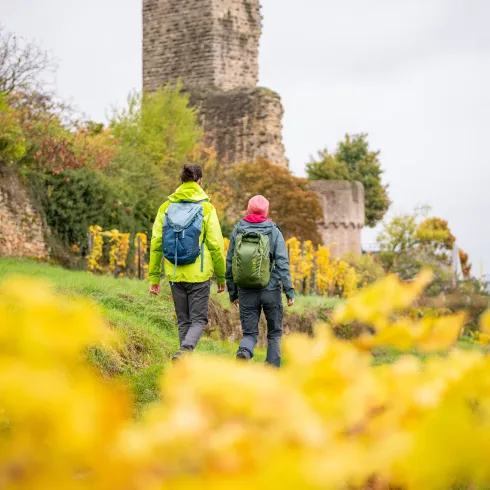 Zwei Personen wandern im Herbst an der Wachtenburg entlang.